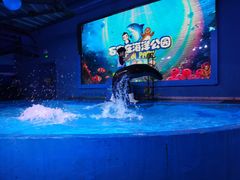 -石家庄海洋公园