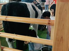 -呼和浩特市老牛儿童探索馆