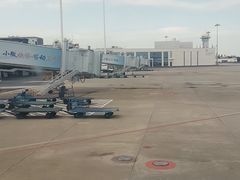 -厦门高崎国际机场-T3航站楼