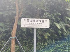 -梧桐山风景名胜区