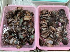 -十四涌水产中心