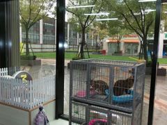 android_upload_pic-爱宠屋pet shop·宠物洗澡·宠物美容