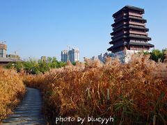 景点-西安汉城湖景区
