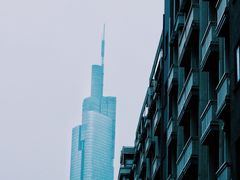 -紫峰大厦