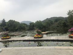-白马涧龙池景区