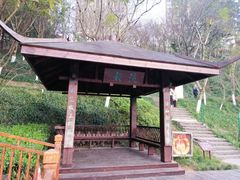 -重庆彩云湖湿地公园
