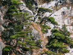 -明堂山风景区