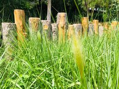 -门城湖公园