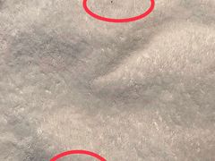 -深圳湾科技园丽雅查尔顿酒店