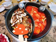 -乳仔牛牦牛汤锅 烤羊排(松潘古城店)