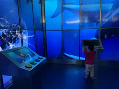 -迪拜水族馆及水下动物园