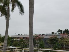 -厦门国家会计学院