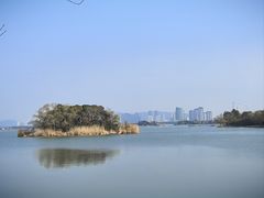 -长广溪湿地公园