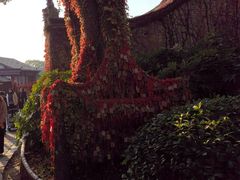 -乌镇望津里精品酒店