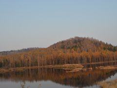 -五营红松林海景区