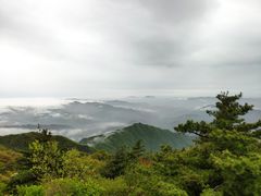 -王顺山国家森林公园