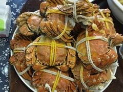 -小陆莲花蟹园农家乐(莲花岛店)