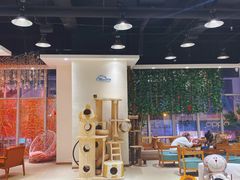 大堂-藏猫猫咖啡主题馆(中央大道店)