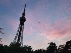 -文华公园(禅城区)