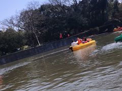 -上海方塔园