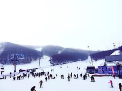莲花山滑雪场-长春莲花山滑雪场