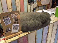 -小时光咖啡馆(开森度假森林店)