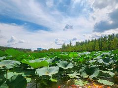 -盘锦红海温泉乐园