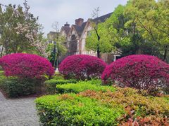 -成都南湖公园