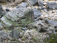 -石台牯牛降景区