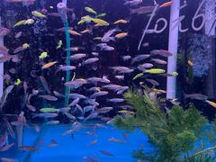 -三旗百汇商品城