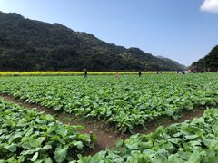 -广州市石门国家森林公园