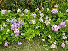 -贵阳市花溪国家城市湿地公园