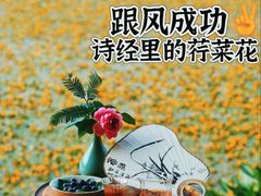 -南京维景国际大酒店(南京博物院店)