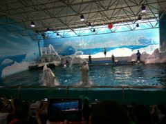 -秦皇岛乐岛海洋王国