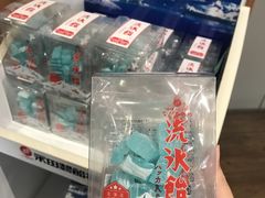 -网走流冰观光破冰船极光号