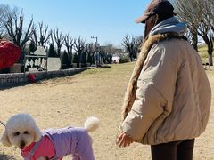 -小意思咖啡店(草桥店)