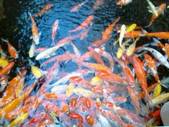 大堂-湛江山河酒店