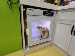 -可蒙动物医院·猫科·骨科中心(首义路店)