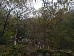 -石老人观光园