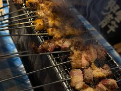 -生火火·地摊小炉子烧烤(龙湖北城金冠店)