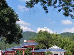 -九龙江国家森林公园