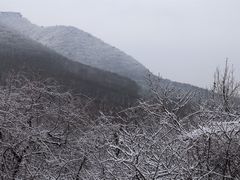 -句容茅山景区
