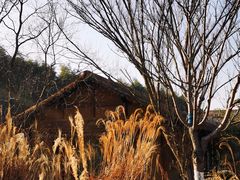 -良渚古城遗址公园