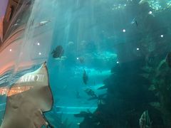 -鸿通城购物中心