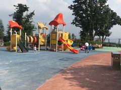 -铁山坪森林公园