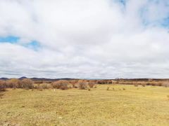 -御道口草原森林风景区