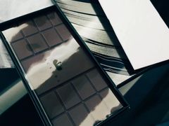 -BLACKSWAN黑天鹅(环球店)