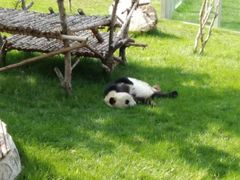 -西安秦岭野生动物园