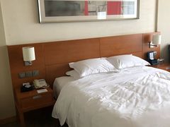 -上海浦东康桥绿地假日酒店