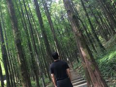 -山王坪喀斯特国家生态公园